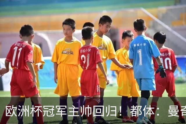 欧洲杯冠军主帅回归！都体：曼奇尼与意足协签约4年，年薪250万欧